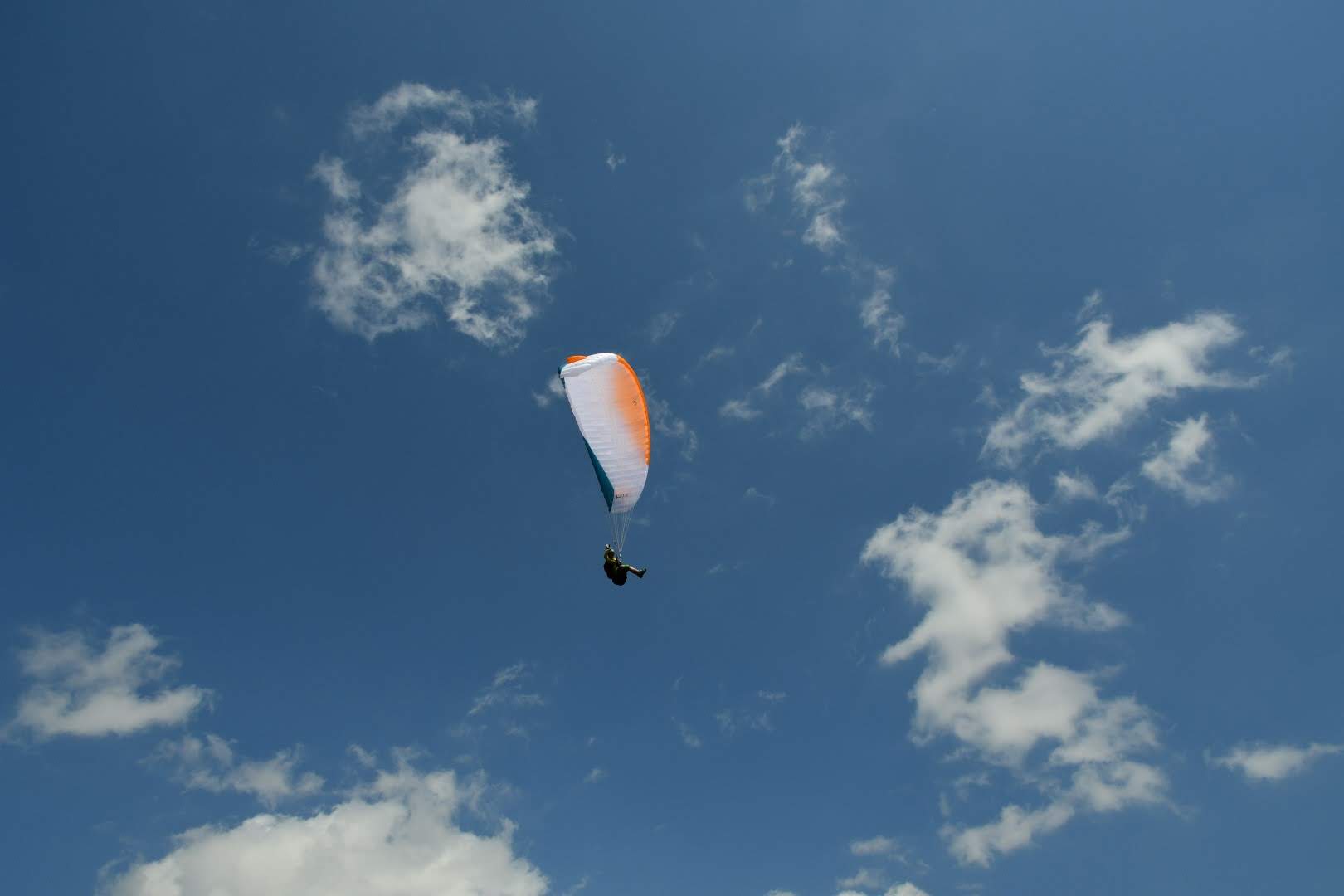 dsc 0835 37820087192 o