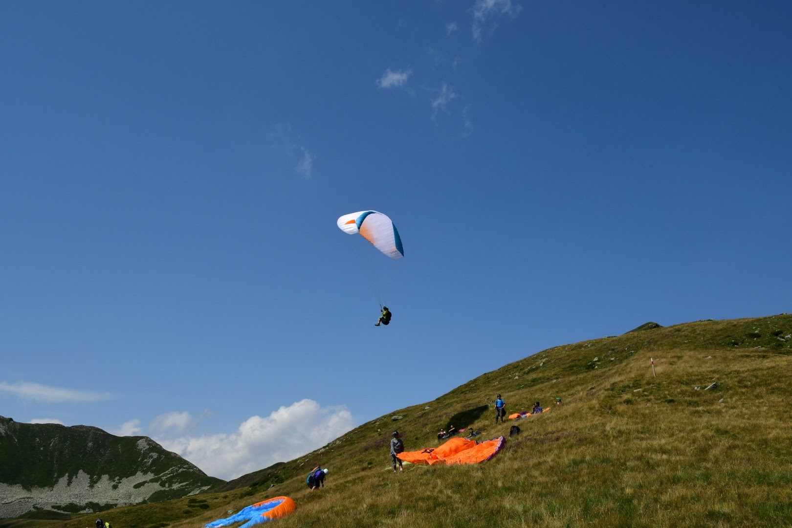 dsc 0837 37820087082 o