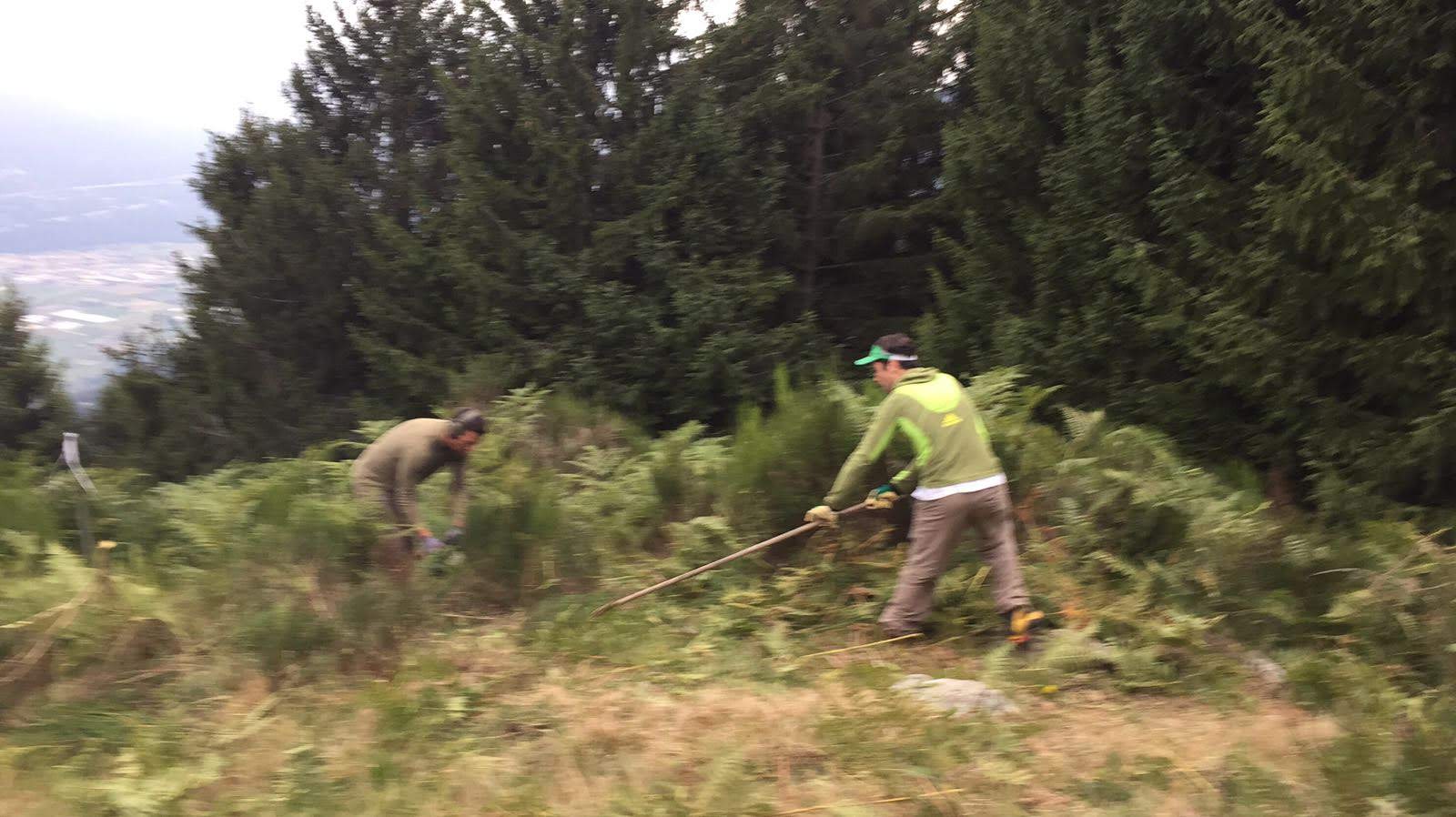 img 20170908 wa0037 36332578133 o