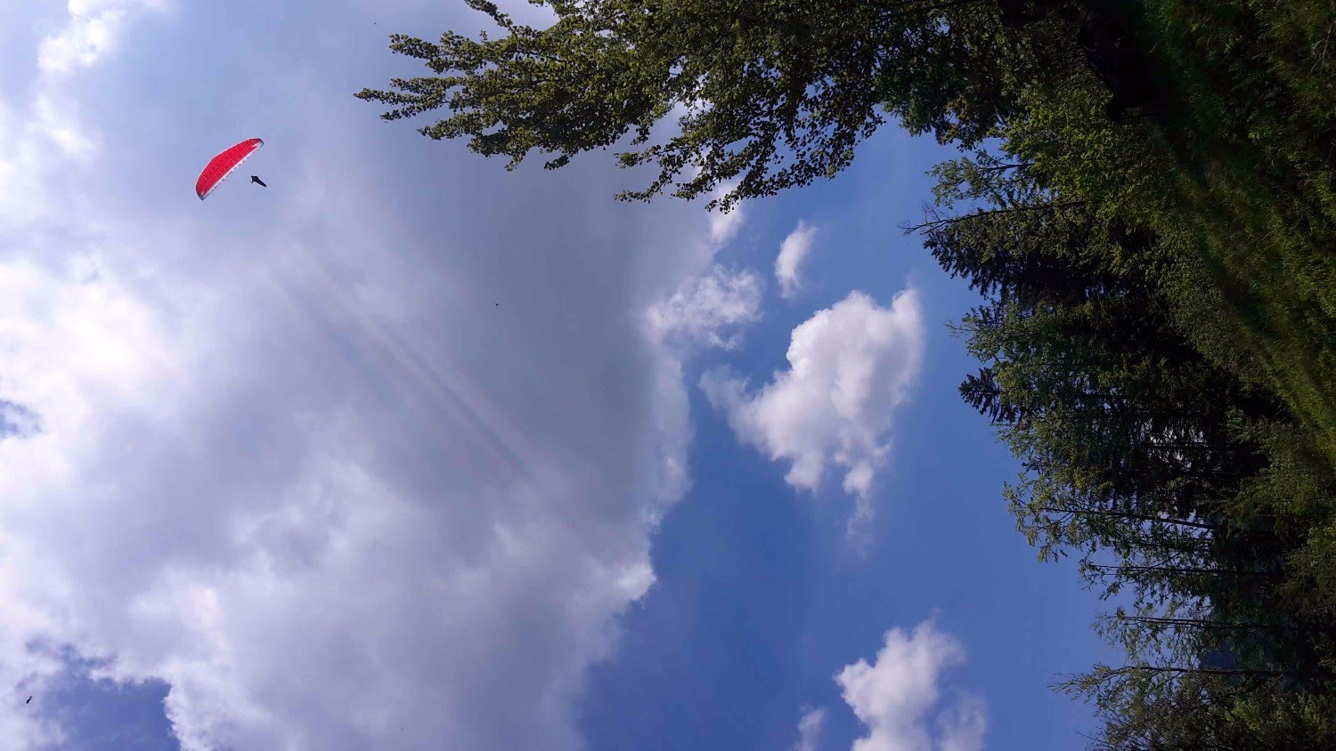 img 20170525 wa0014 7735 35770513800 o