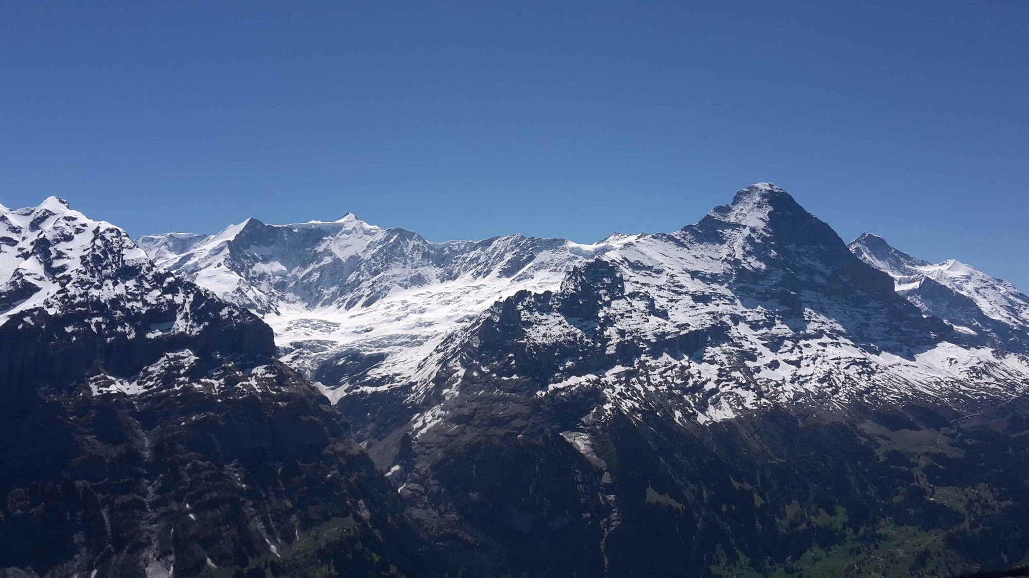 img 20170526 wa0007 7737 36028602541 o