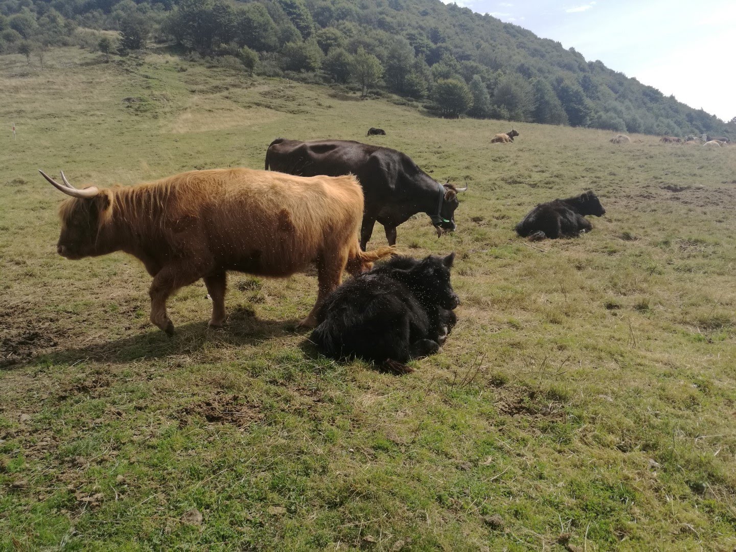 img 20170827 140650 36786584862 o