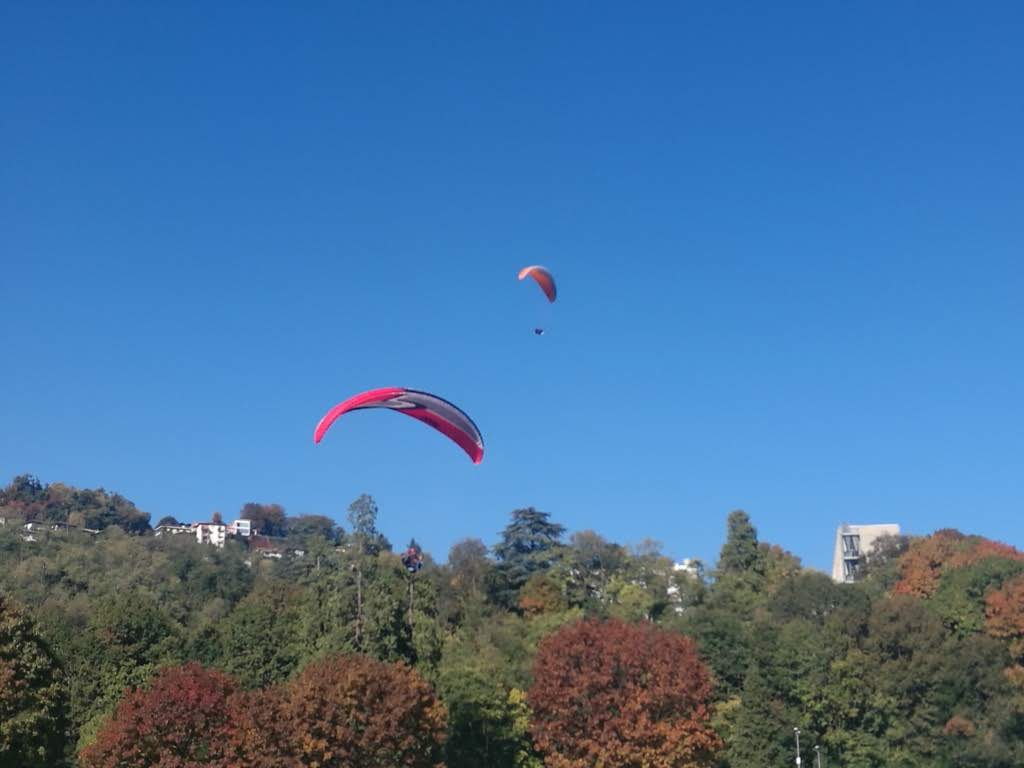 img 20171015 134039 medium 37141958234 o