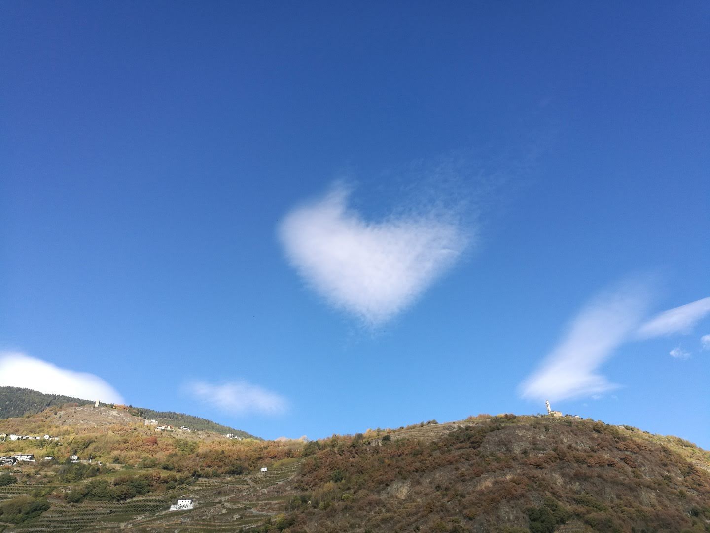 valtellina 0 6 45500689991 o