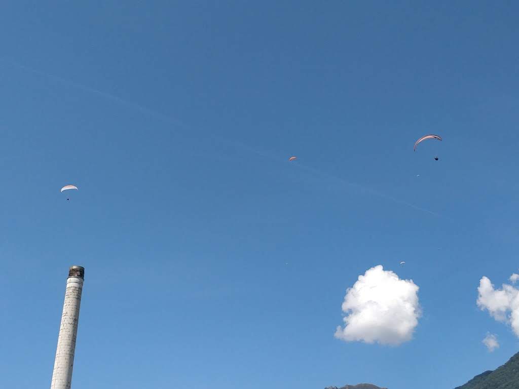 volo centro coop 13 43391583694 o