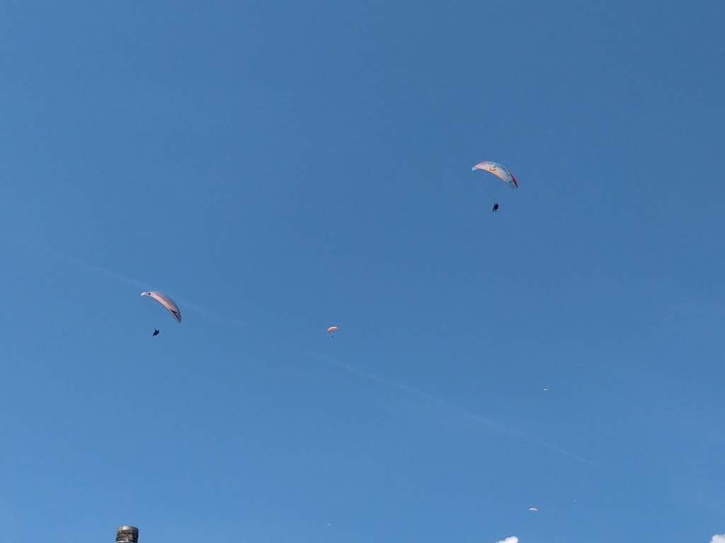 volo centro coop 14 44109945851 o