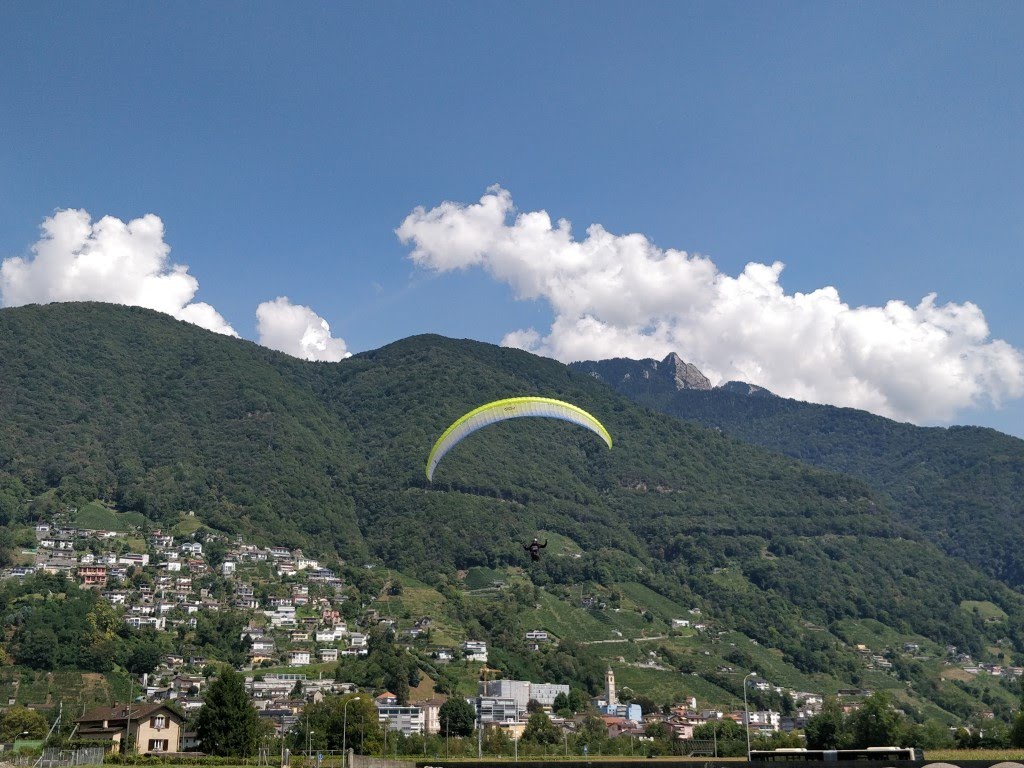 volo centro coop 36 43391589184 o